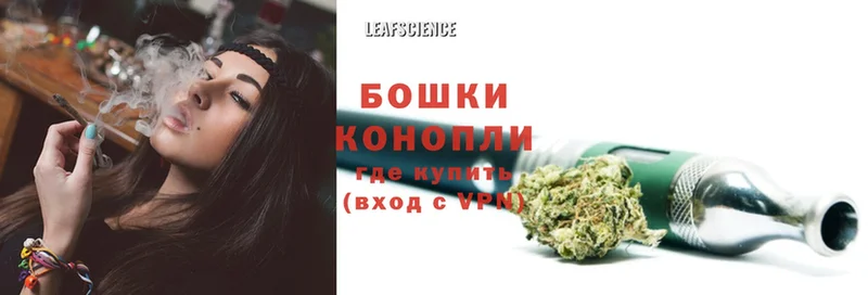 где продают наркотики  Видное  kraken зеркало  Шишки марихуана SATIVA & INDICA 